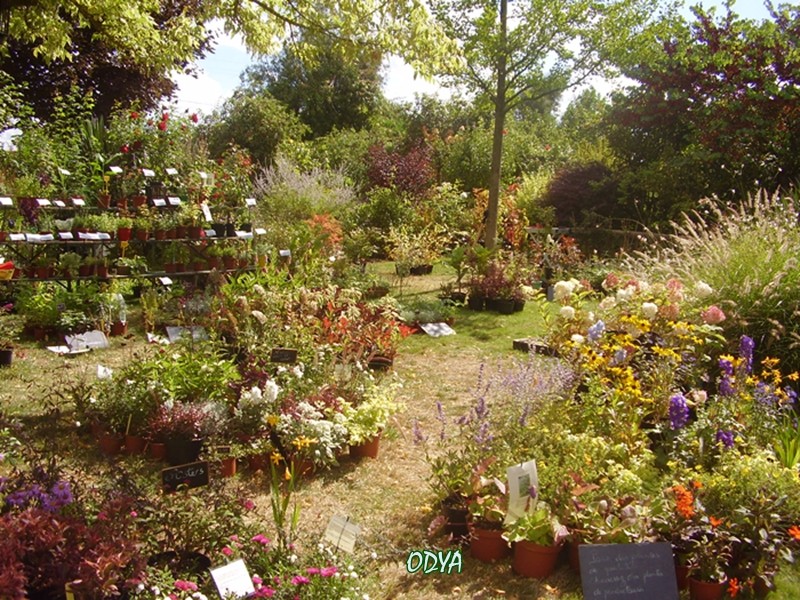  Fête des Plantes au Jardin Secret du Grand Boulay P9120117