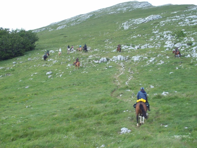 Bivouac 11-12-13 juin 2011 des m&m's  dans le Vercors ...les photos  à partir de la page 19!! - Page 12 100_1218