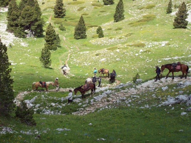 2 jours sur les Hauts Plateaux du Vercors 100_1243