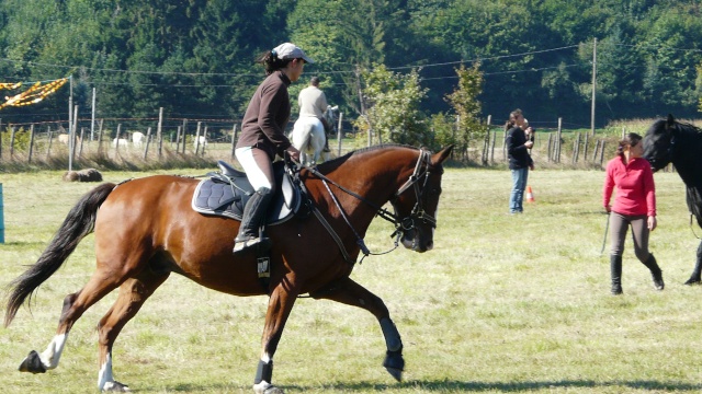 entrainement "trec" : le 19 septembre - Page 19 P1050718