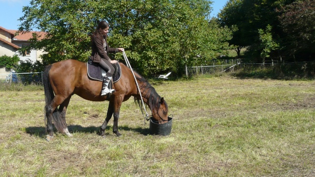 entrainement "trec" : le 19 septembre - Page 19 P1050726