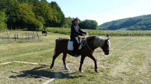 entrainement "trec" : le 19 septembre - Page 19 P1050819