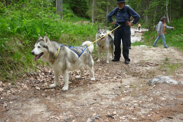 1° meeting Alaskan Malamute estate 2011 - non solo dog-trekking! 02_10