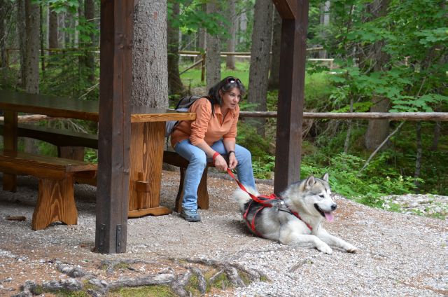 1° meeting Alaskan Malamute estate 2011 - non solo dog-trekking! 02_11