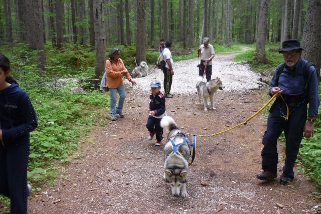 1° meeting Alaskan Malamute estate 2011 - non solo dog-trekking! 02_12