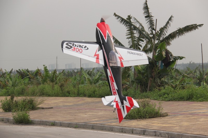 3DRC Aerobatic fly-in 300sba10
