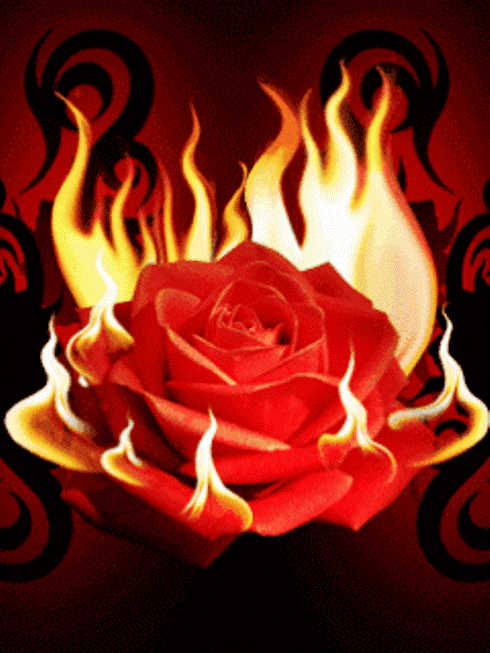 Donnons à Dieu nos cœurs, tout brûlants d’amour, et cherchons sa grâce, que le feu ne puisse jamais être éteint  Feu00410