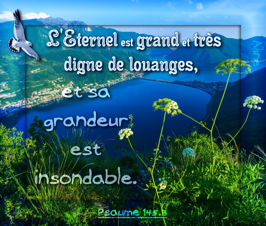 Nous prouverons notre amour pour Dieu et notre fidélité à Dieu en faisant ce qui lui est agréable Louang10