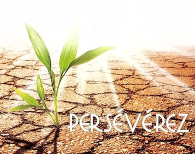 Persévérer dans la foi  Persev21