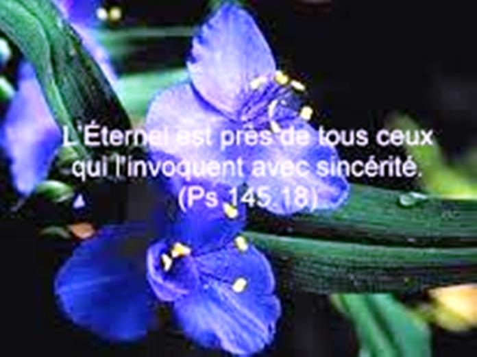 Délice de se réjouir dans le Seigneur et vraie religion sont aussi liés que la racine et la fleur.  Prizor29