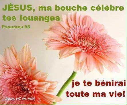 Nous Prouverons Notre Amour Pour Dieu Et Notre Fidelite A Dieu En Faisant Ce Qui Lui Est Agreable