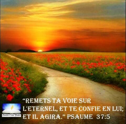 Comme Dieu Dans Son Immense Amour Nous Sommes Appeles A Faire Du Bien A Tous Les Hommes