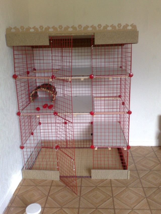 Habitation des lapins : exemples de cages, enclos ... - Page 13 17092010