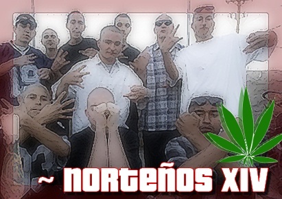 || El Corona || ~  Norteños XIV ~ || 3/20 ~1Figurant || Sans_t15