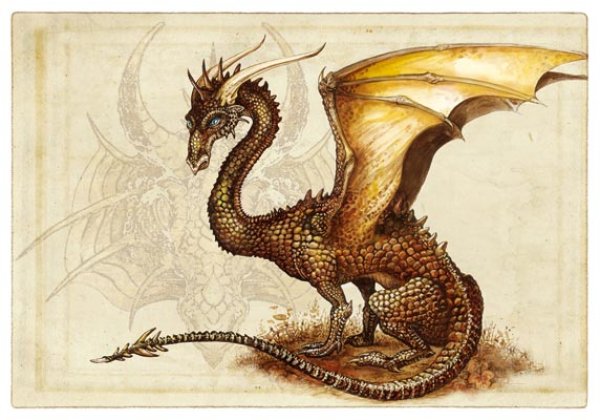 Dragons Brun Dragon10