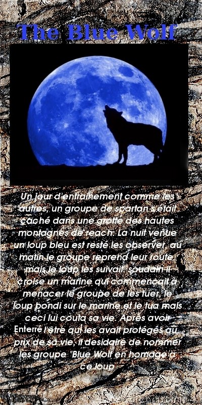 Team "The Blue Wolf" [recrutement et matchs] Histoi11