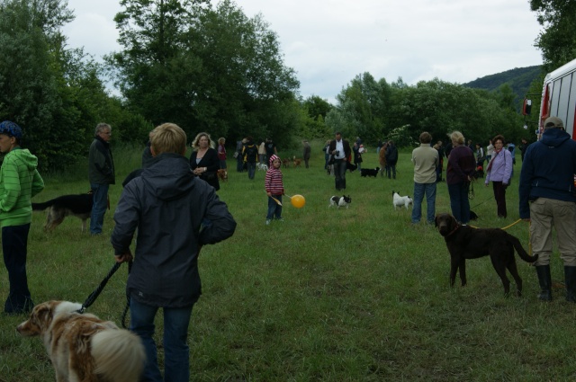 Eröffnung der Hundefreilauf-Zone Berndorf/St.Veit - Seite 2 Dsc03618
