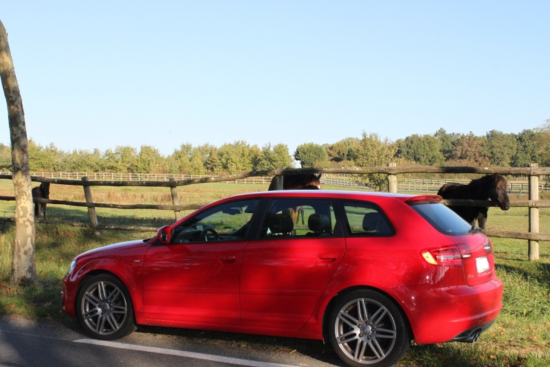 [Photo-reportage] Audi A3 facelift 2.0 TDI 140 Sline rouge brillant - Page 3 Img_3018