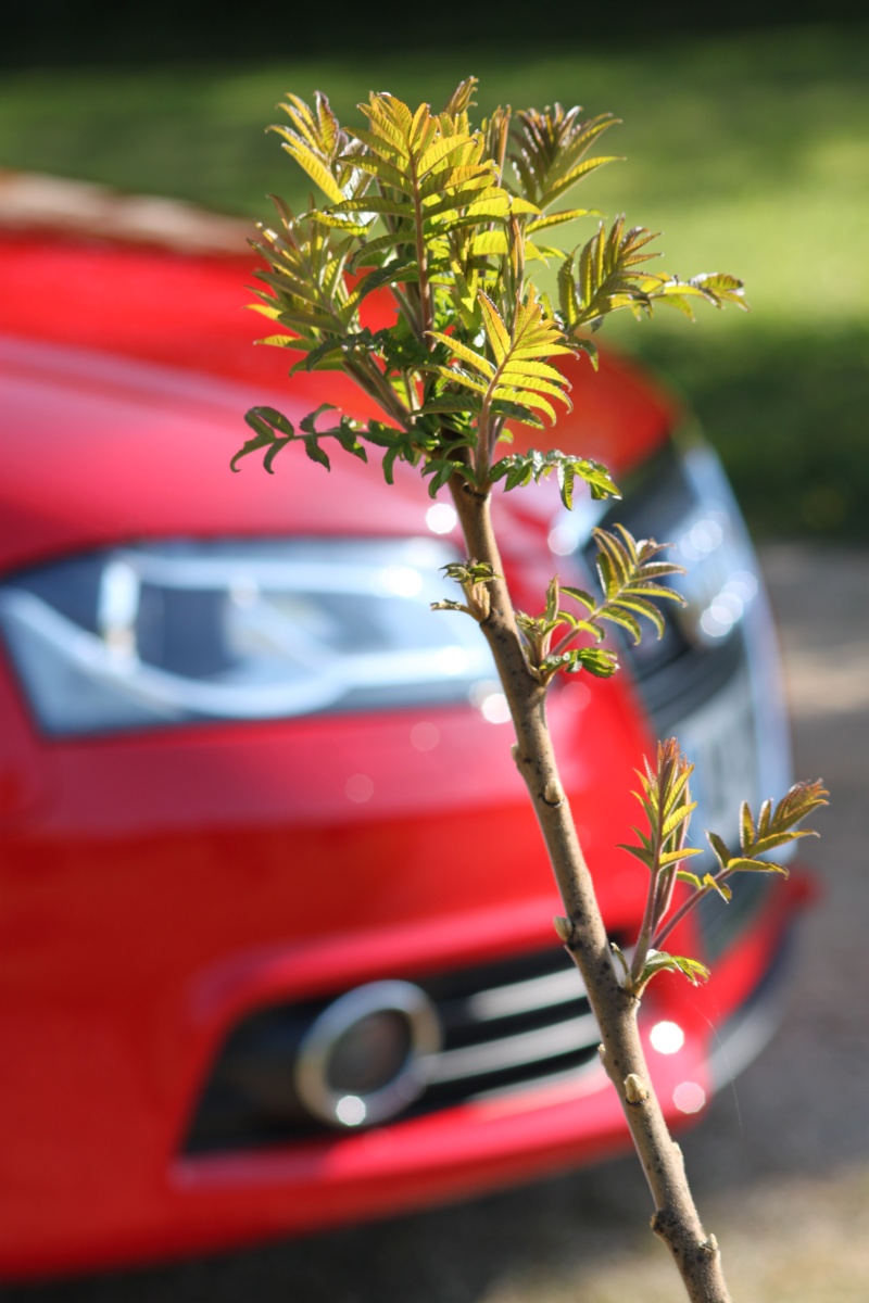 [Photo-reportage] Audi A3 facelift 2.0 TDI 140 Sline rouge brillant - Page 4 Img_6015