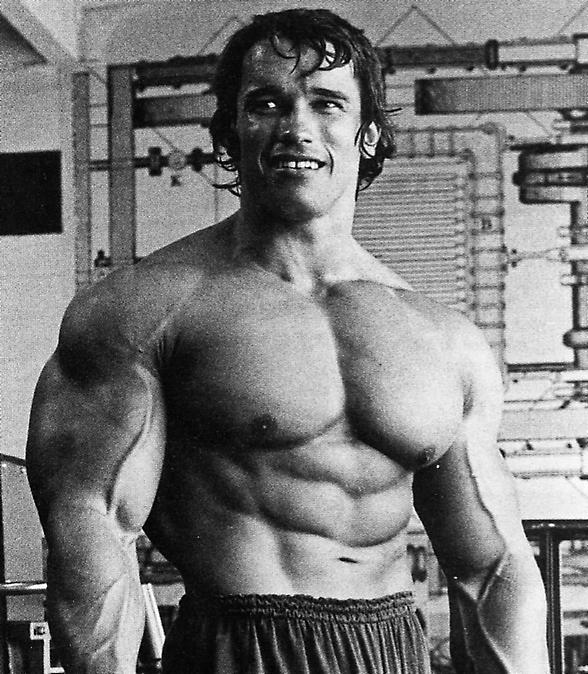 Arnold Schwarzenegger Amg2210