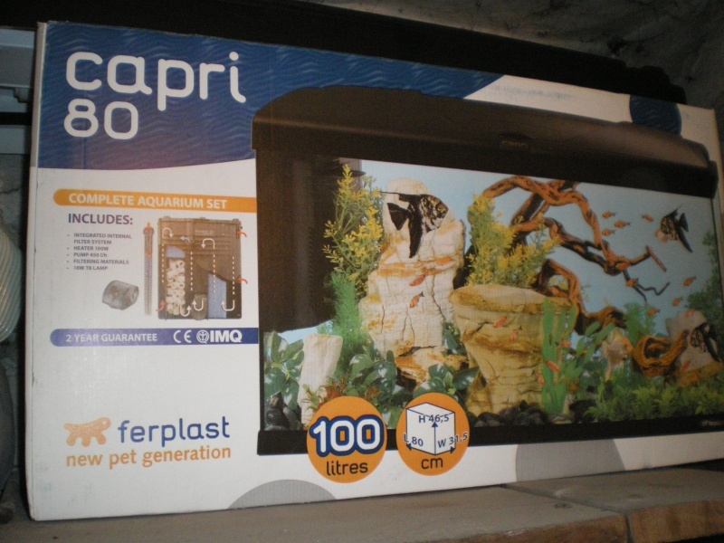 [67][VENDU A SUPPRIMER] Aquarium 100L brut / accessoires  Imgp3810