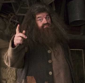 Rubeus Hagrid Hagrid10