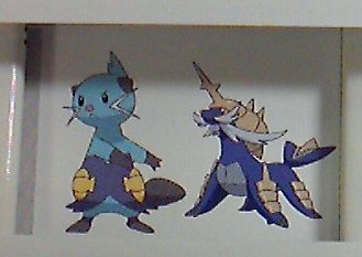 EVOLUZIONI STARTER + TOTALE POKéMON NUOVI Mijuev10