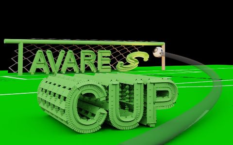 TAVARES CUP 2010