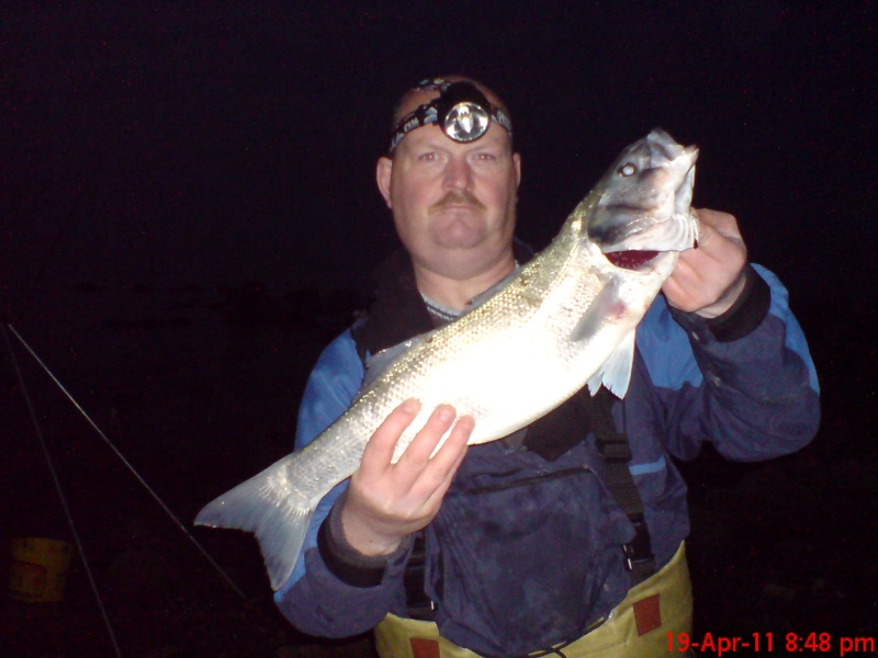 Bass Fishing  Dsc01016