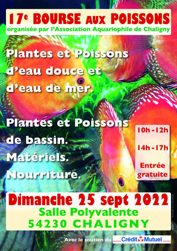 Bourse aux poissons -25 Septembre 2022- Chaligny (54) Aacc_a10