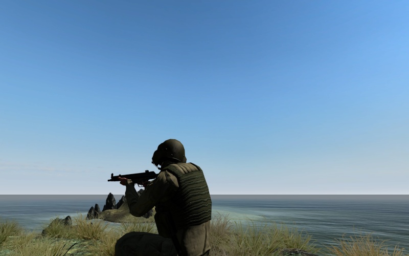 Arma 2 - La simulation de guerre ultime. 2011-014