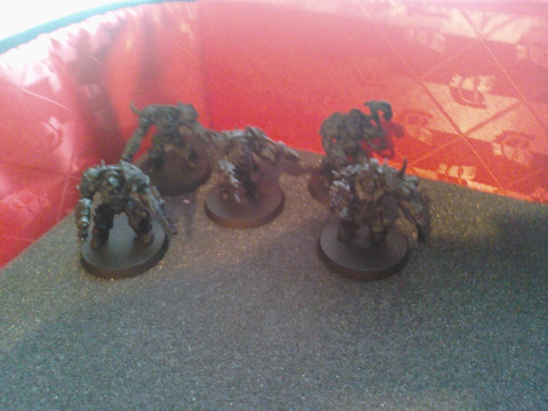 les fils de nurgle :P 03310