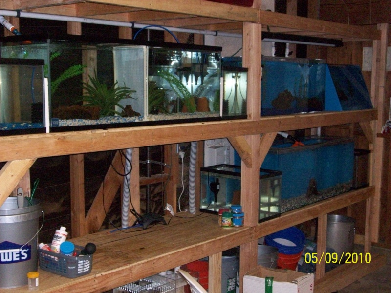 my fish room in progress Garage12