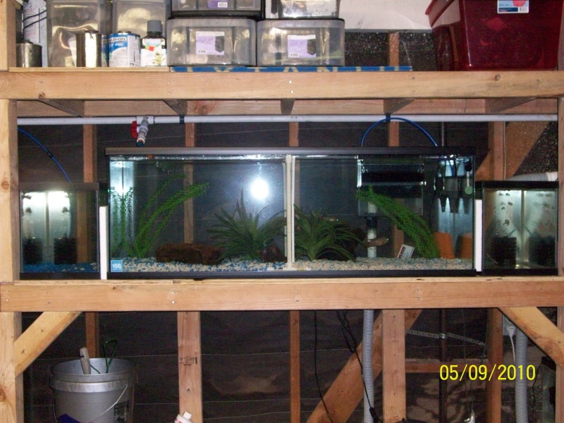 my fish room in progress Garage15