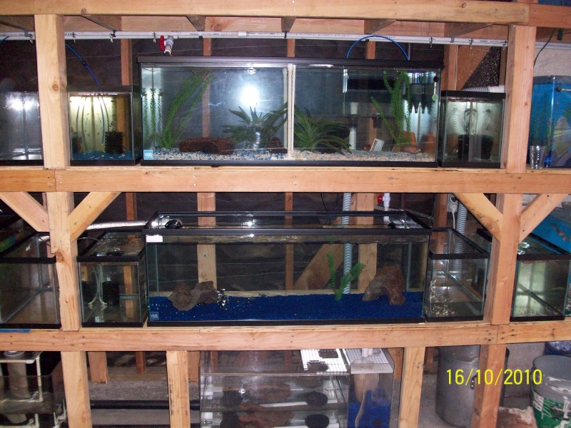 UPDATE beginning of my fish room (complete) Garage18