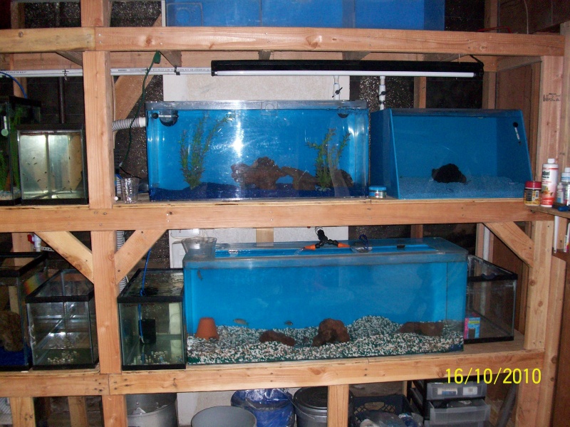UPDATE beginning of my fish room (complete) Garage19