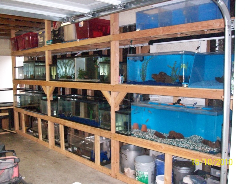 UPDATE beginning of my fish room (complete) Garage20