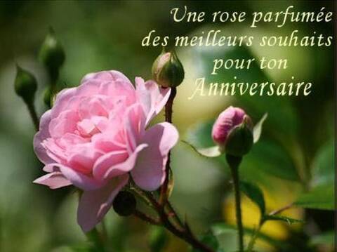 23 06 Anniversaires Bagheera Benoit Langlois Delantaigne Dud6700 Ed67 Enire Fabro85 Feron Anne Frassu Mireille Houbotte James123 Jc18 Nh38 Sasa 23 06 Anniversaires Bagheera Benoit Langlois Delantaigne Dud6700 Ed67 Enire Fabro85 Feron Anne Frassu Mireille Houbotte James123 Jc18 Nh38 Sasa