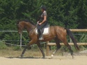 monitrice DE et cavalière jeune chevaux :cours de dressage, travail du cheval - Page 2 Cantan14