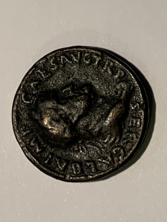 SESTERCE DE GALBA "SPQR/OB/CIVSER" Img_5720
