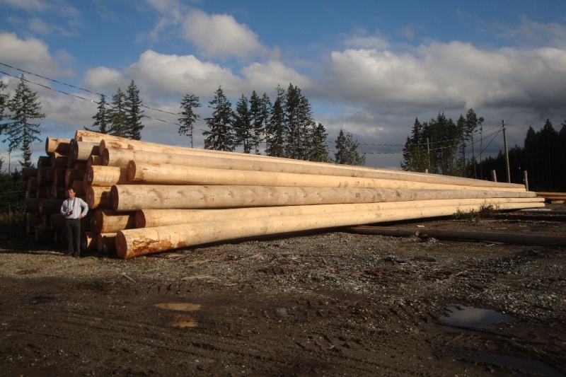 L' industrie du bois au Canada Dsc05610