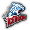 DEL 2 - Play Offs - Seite 3 Ice_ti10