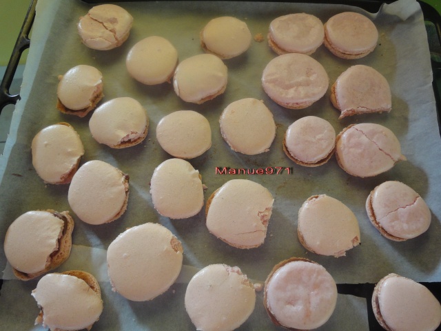 Macarons - Page 25 Dsc03310