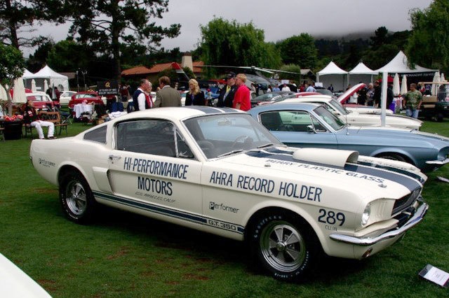 Shelby 2_bmp10