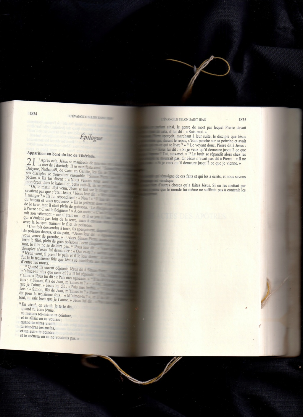 JESUS Christ est vraiment né le 25 décembre, par Clarisse Delorient - Page 32 Img03810