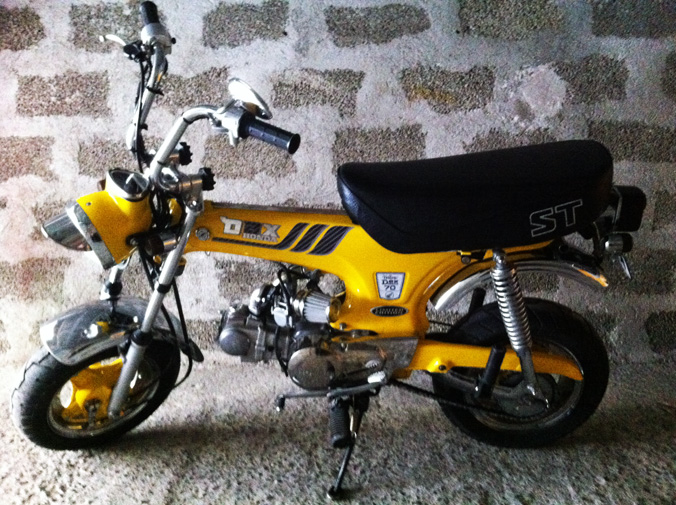 Yellow Dax 610