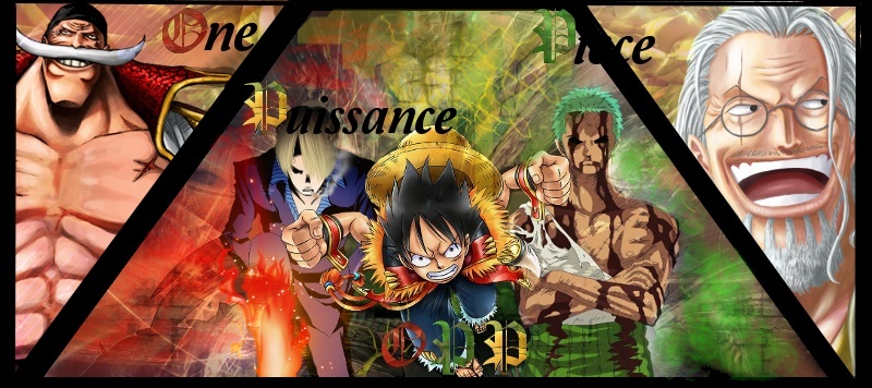 Partenariat avec One Piece Puissance 21933610