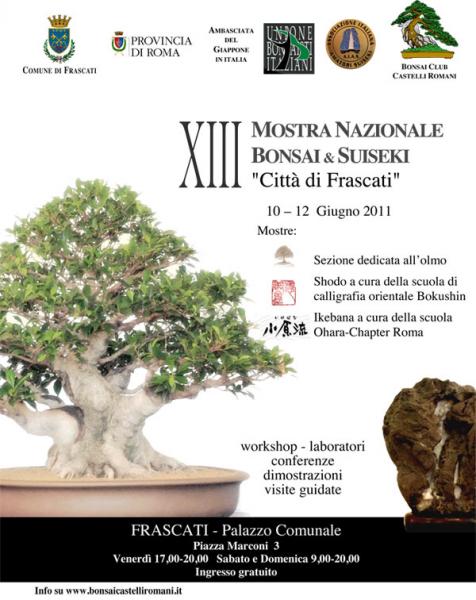 XIII Mostra Bonsai e Suiseki ""Citta di Frascati"" Frasca10