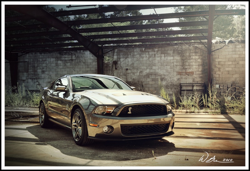 Paul's new Shelby Search...  - Page 4 Gt500a11
