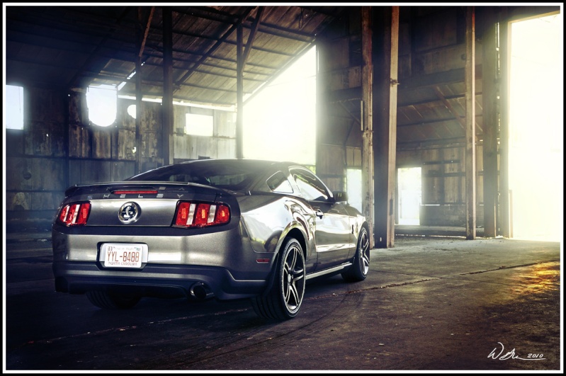 Paul's new Shelby Search...  - Page 4 Gt500s12